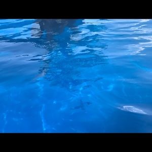 Meet your Posher, Noemi